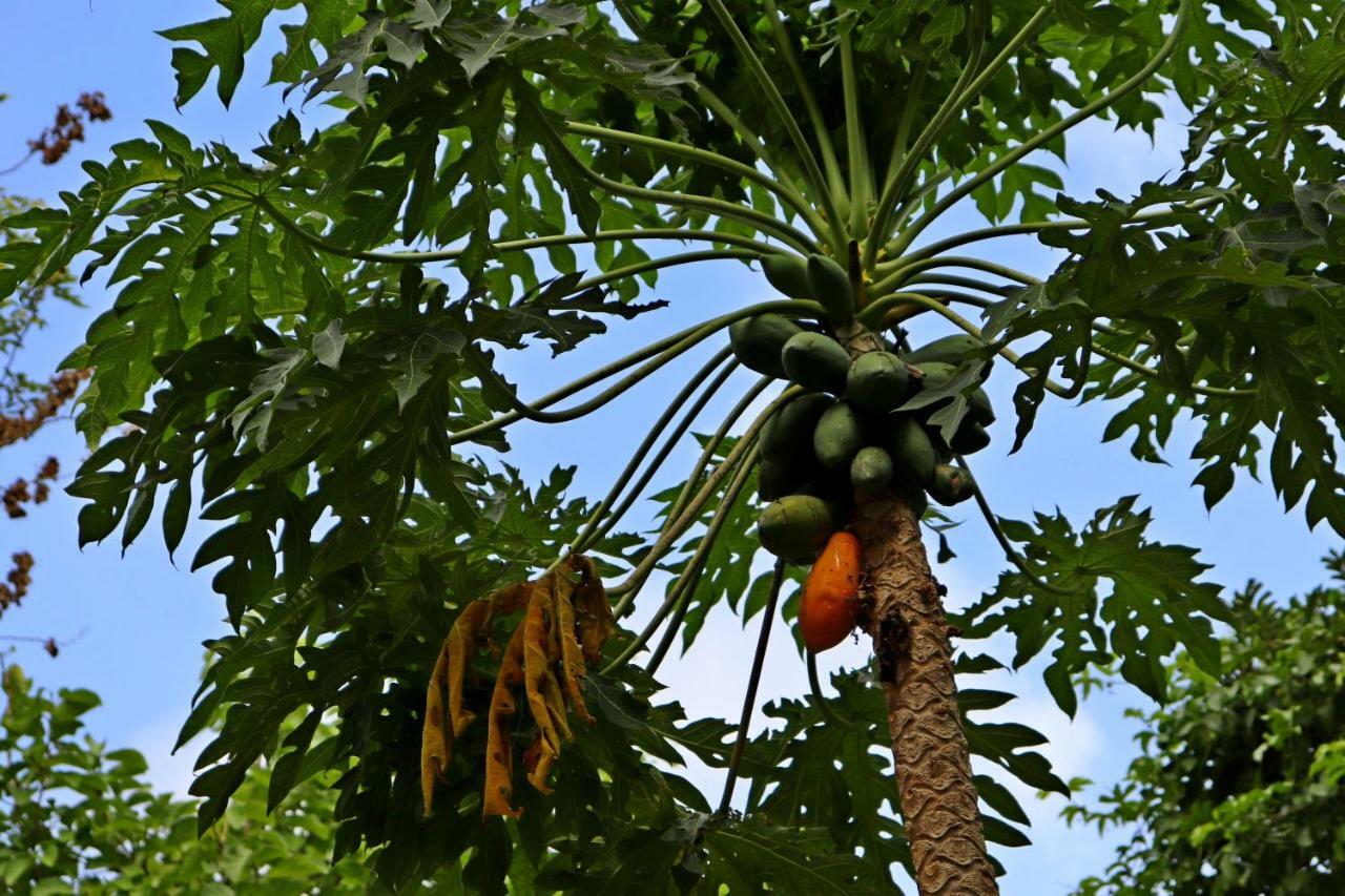 Casa Del Bosque Cancún Eksteriør bilde
